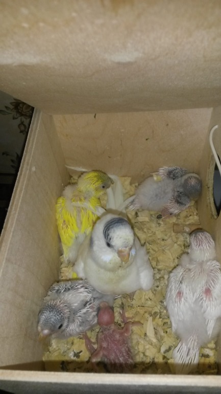 Детишки, уже большие