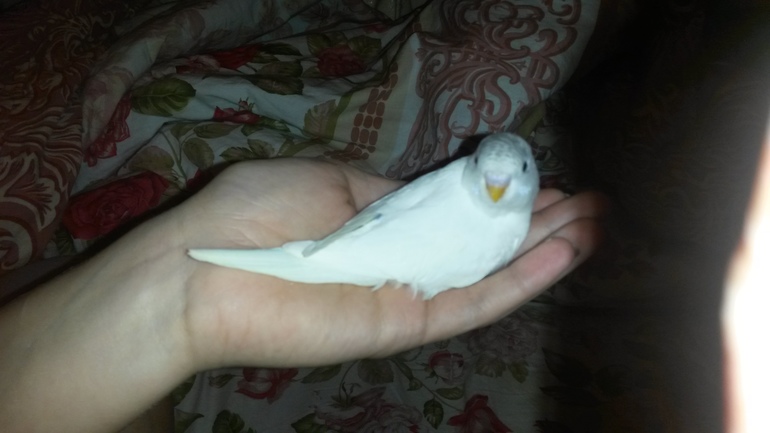 Детишки, уже большие