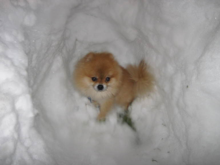 В ожидании гостей