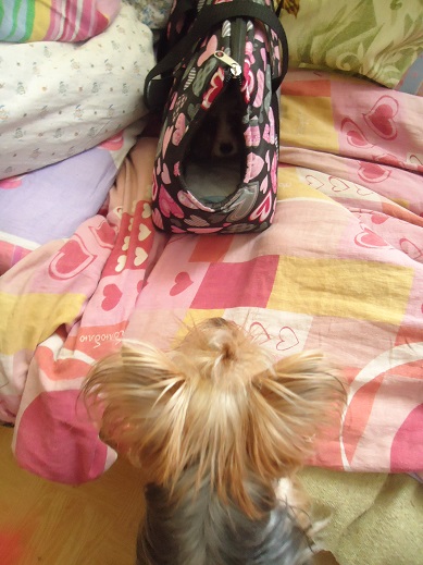 Привет. Давайте знакомиться! :)