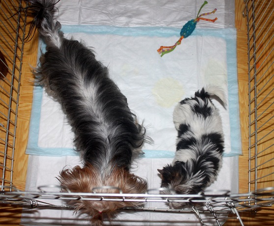 Привет. Давайте знакомиться! :)