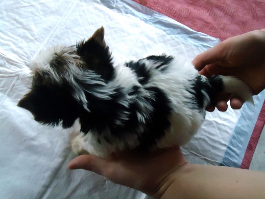 Привет. Давайте знакомиться! :)