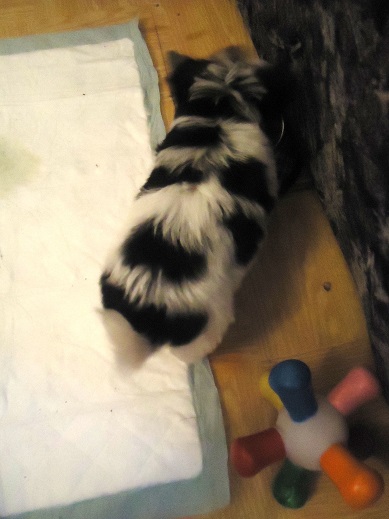 Привет. Давайте знакомиться! :)