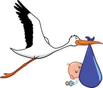 Наш аист скоро прилетит