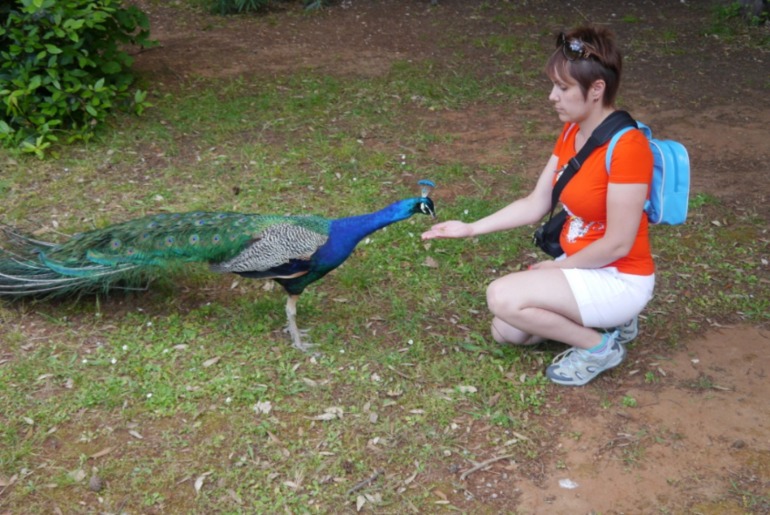 Отпуск июнь 2013: Хорватия, Дубровник.