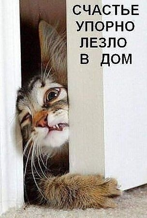 Девочки, это чтобы вы улыбнулись)))фото покатом!)