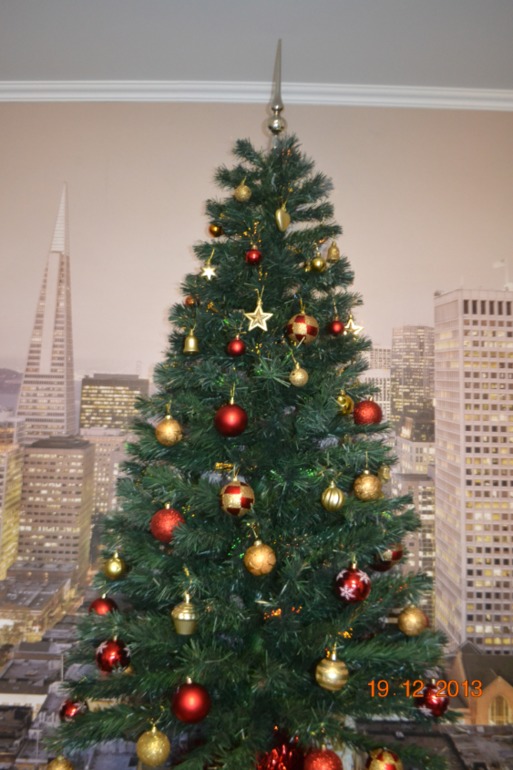 Наша красавица-елка)