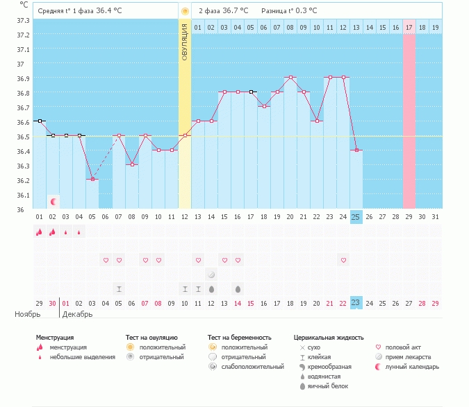 Мой безумный график