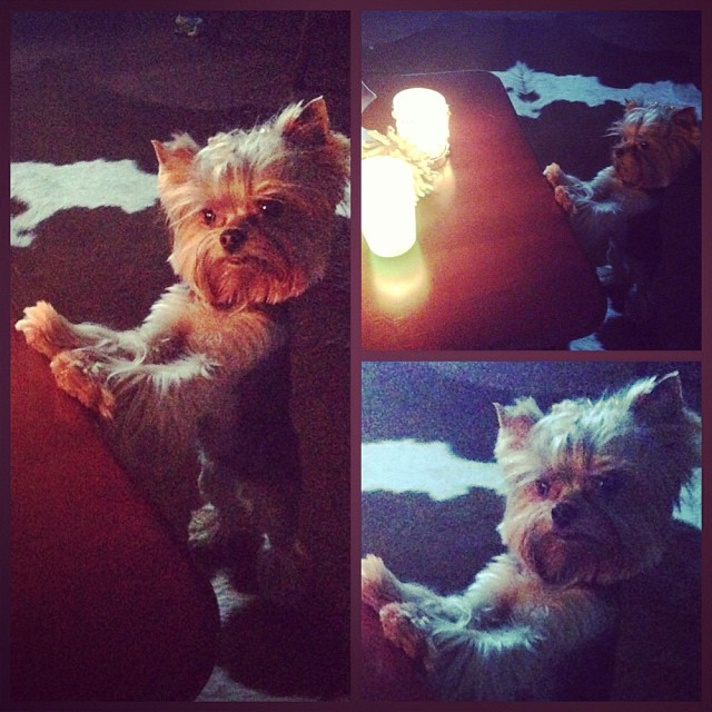 21 неделя: как мы отметили НГ 2014.