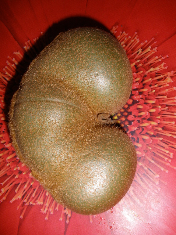 Девченочки, это знак? :)