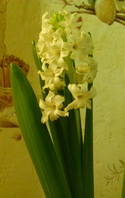 Подарок к Рождеству