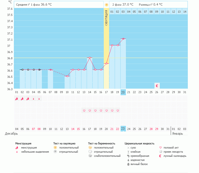 график бт не рисует овульку