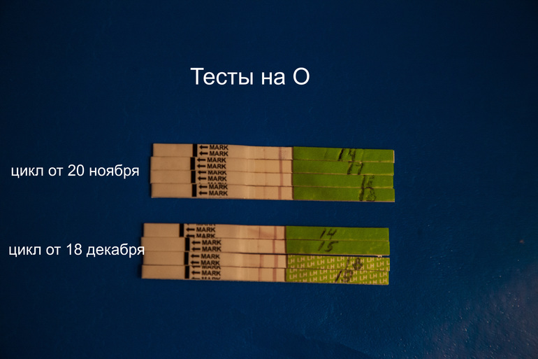 Девчата очень прошу, кто может проанализировать мои графики и тесты.. в этом месяце фазы как будто поменялись t-й