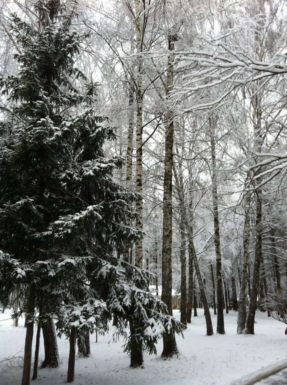 Отдых в HELIOPARK Thalasso