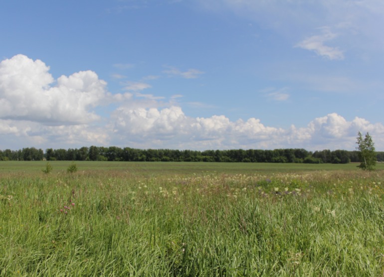 Контрольное задание № 7. Корректируем фотографию при помощи кривых