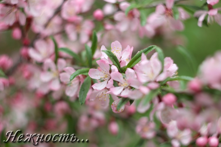 Контрольное задание № 12. Имитируем объём и глубину