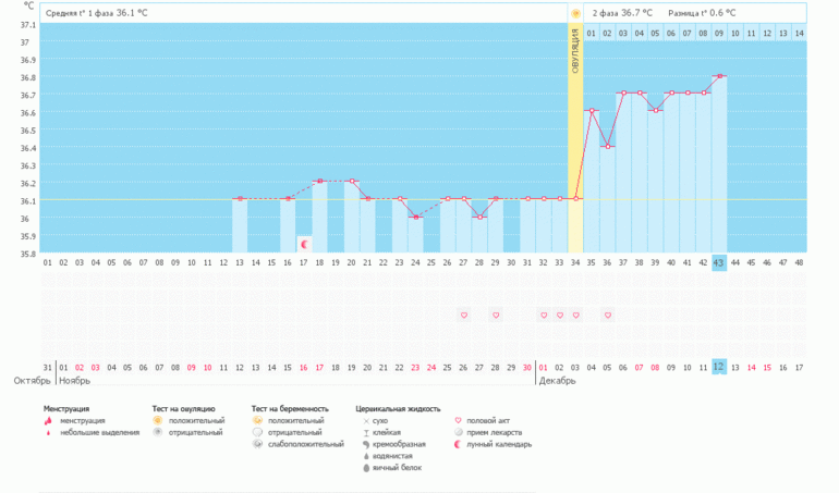 Девочки, что скажите?