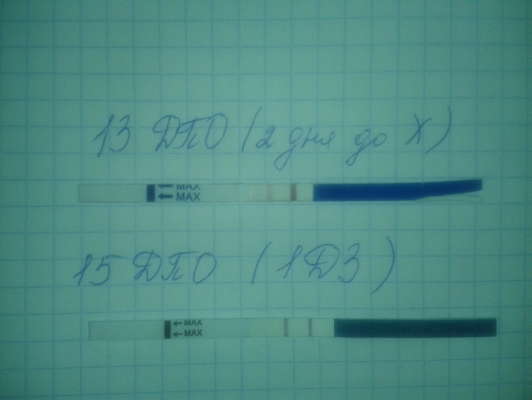 Вроде поярчали