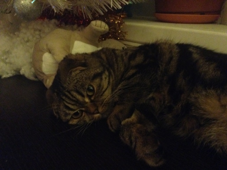 Ищем в будущем мужа)