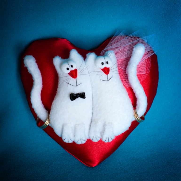 Свадебные коты и прочая влюбленная живность!