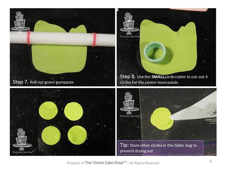 Ранункулюс, по-нашему лютик (Интернет)