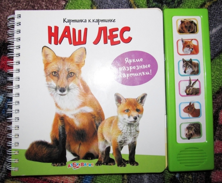 Наша ферма и Наш лес