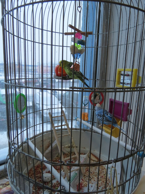 3-х летие сыночка!!!