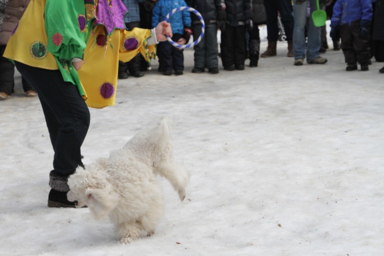 Праздник в парке