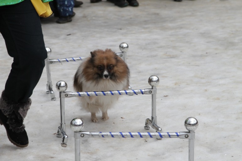 Праздник в парке