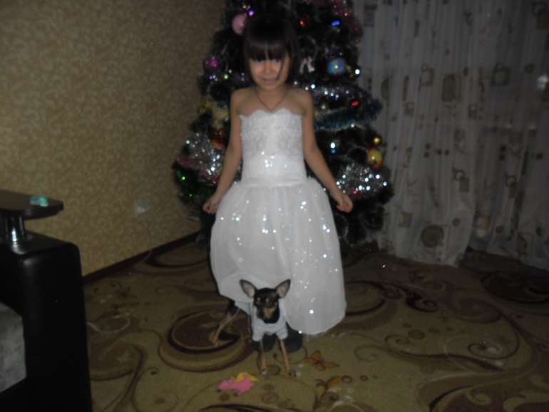 Нужна ваша помощь.