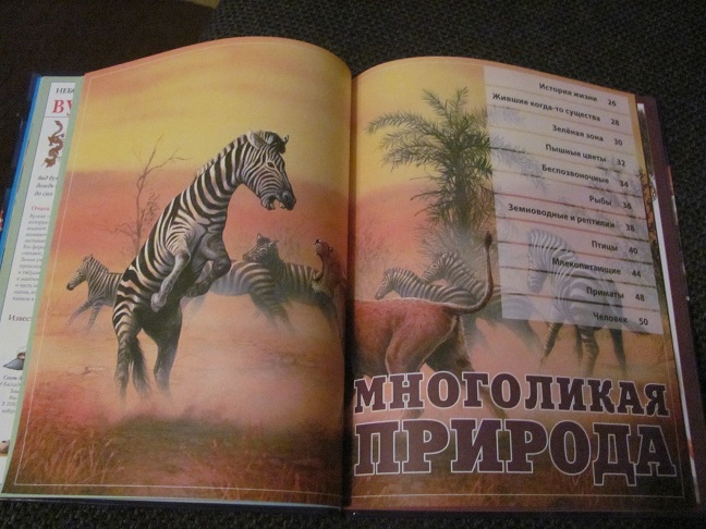 Энциклопедия для деток..