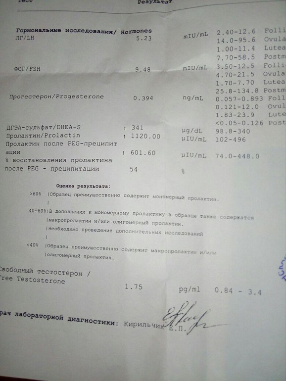 Загиб матки и беременность - загиб матки при беременности За каждую пядь семьи! / Православие. Ru