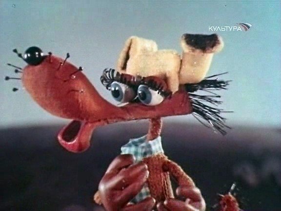 За-"про котёнка женю и правила дорожного движения"