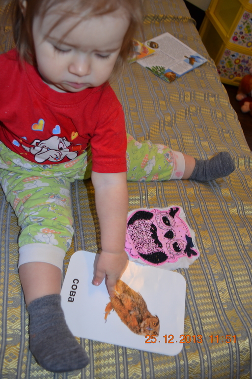 ТН Птицы 4,5 день