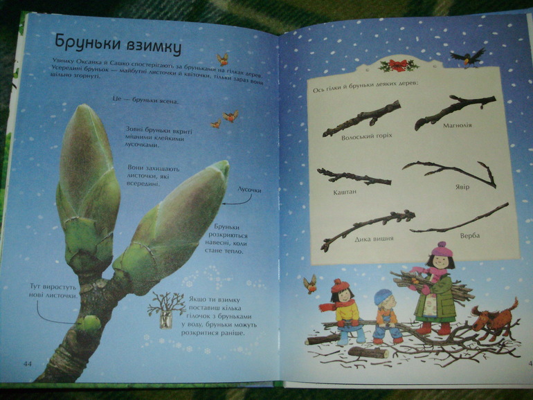 Зимние книги и другие новинки декабря