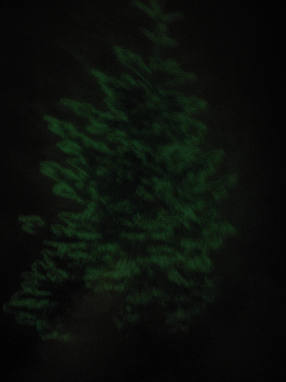 А у нас пока такая ёлочка)