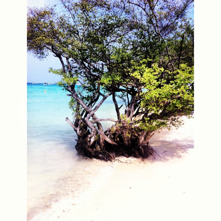 Таиланд, Паттайя, Декабрь 2013.