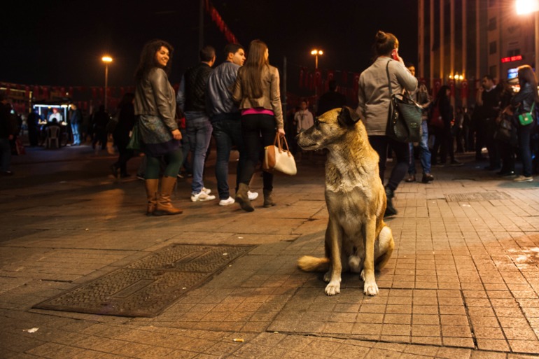Стамбул Октябрь 2013 часть 1