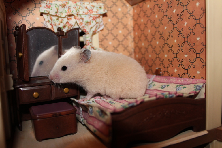 Знакомьтесь!