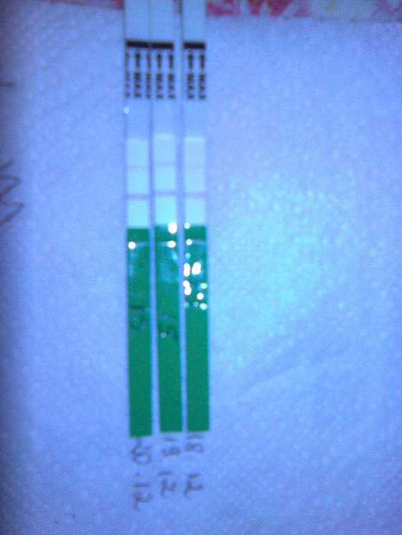 в этом цикле О что вообще не было?!