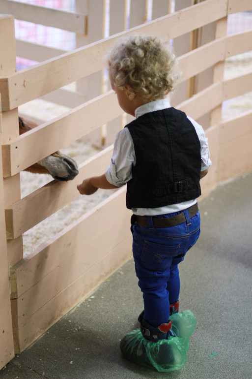 Контактный зоопарк м.Теплый стан