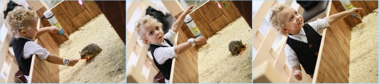 Контактный зоопарк м.Теплый стан