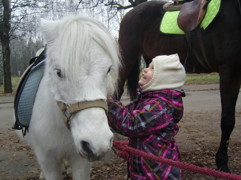 ОжиданиеНового года Лошади