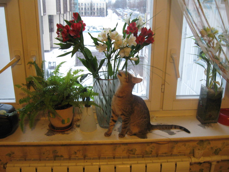 А вот и моя зверинда