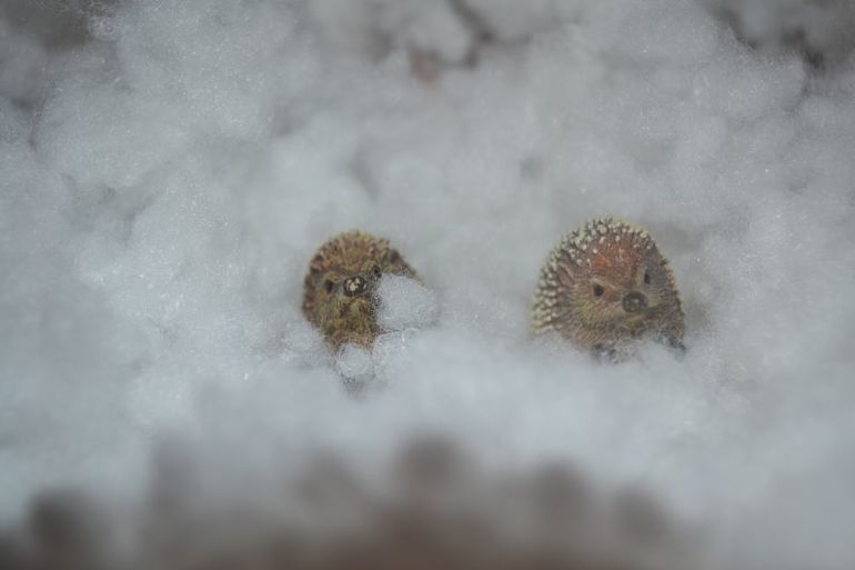 Зимняя полянка