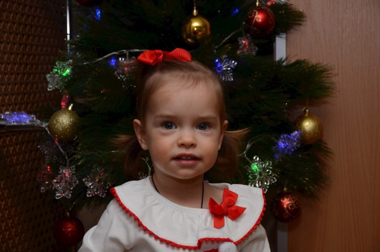 С наступающим Новым годом!!! Наши итоги...