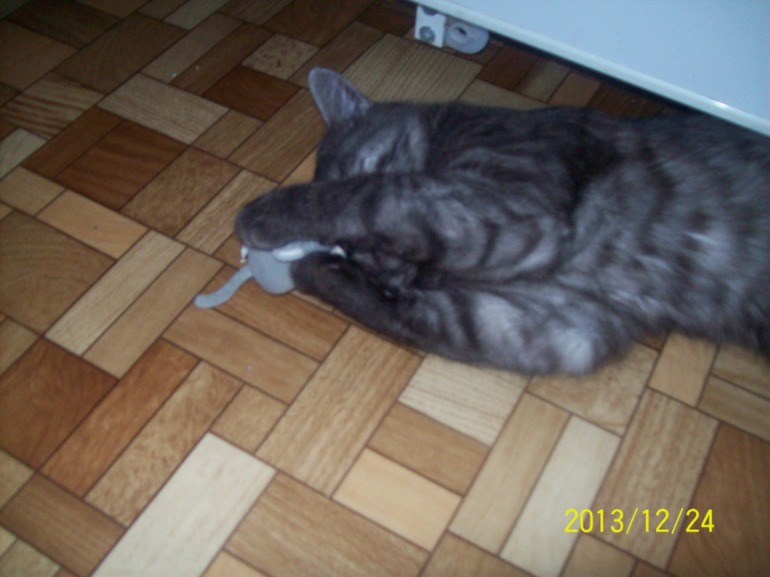 Мой любимы Кузя.