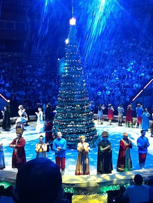 Новогоднее представление