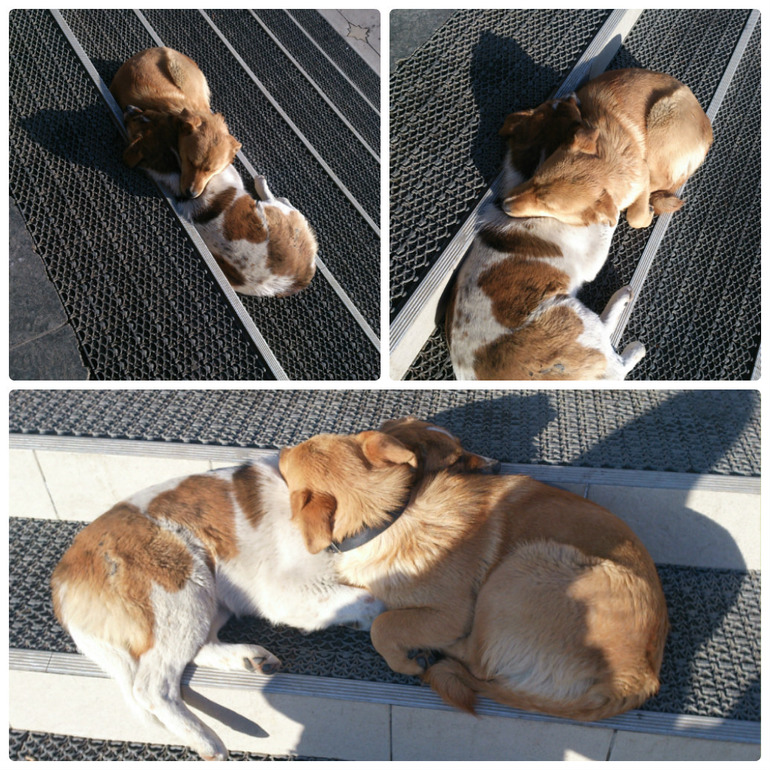 Взлёт 69. День 11-13.