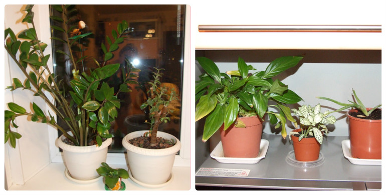 Взлёт 69. день 14-15